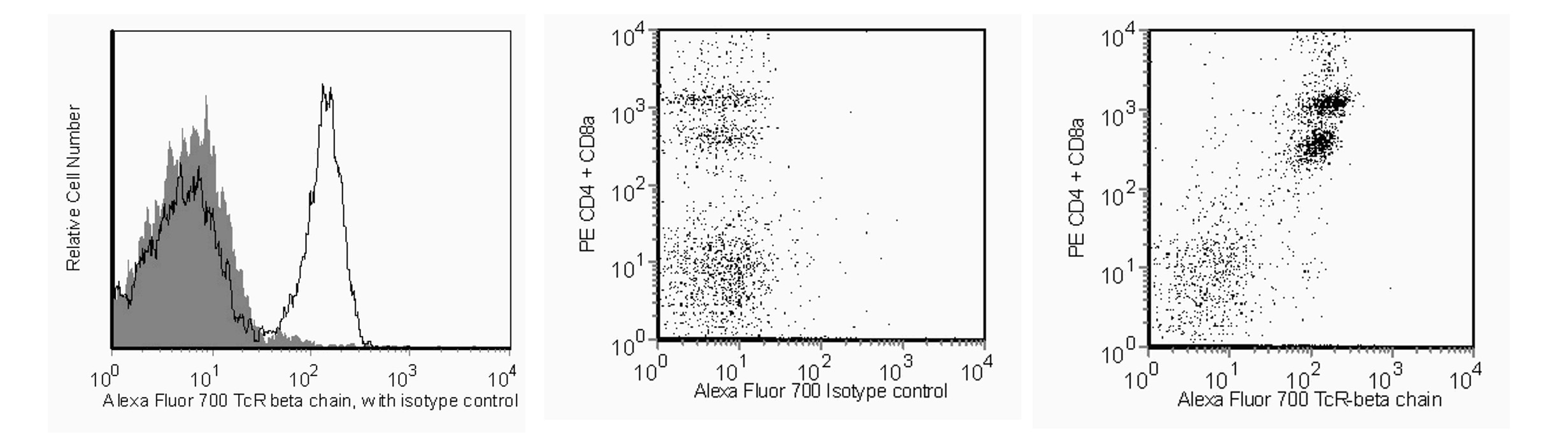 560705Image1.png